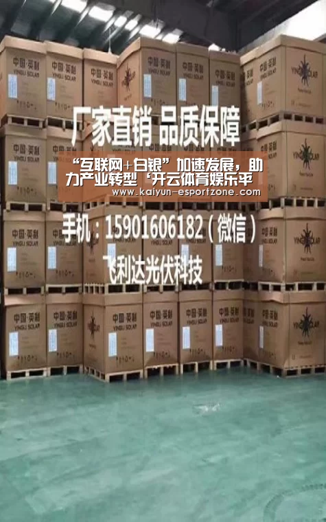 “互联网+白银”加速发展，助力产业转型‘开云体育娱乐平台’