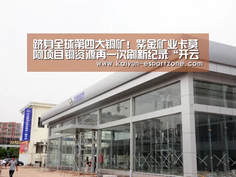 开云真人娱乐